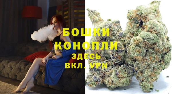 mix Гусиноозёрск