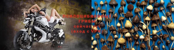 кокаин перу Вяземский