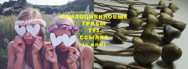 mix Гусиноозёрск