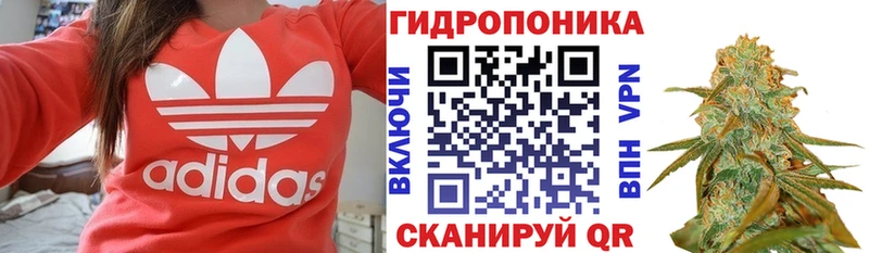 Бошки Шишки семена  Катайск 